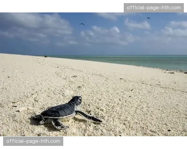 纪录片《兰斯：一座足球城》将于三月下旬在法国电视台播出